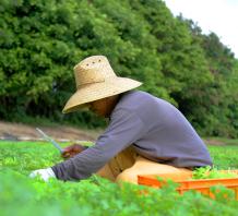 Field Worker2