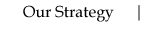 Our Strategy