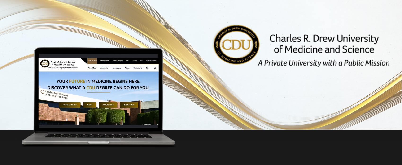 Charles R. Drew University: Website Enhancements & Strategic Digital ...